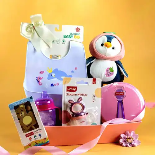 Baby Feeding N Playtime Delights Gift Set