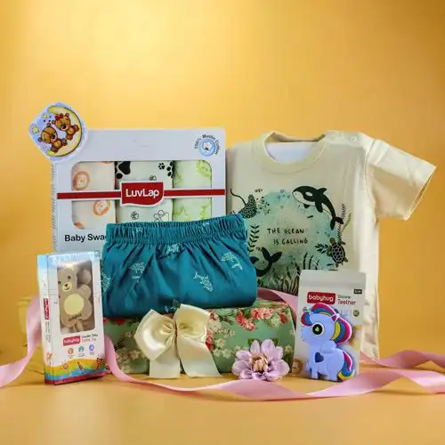 Premium Newborn Care N Comfort Gift Hamper