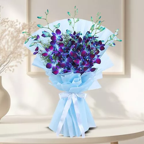 Serene Blue Orchid Delight