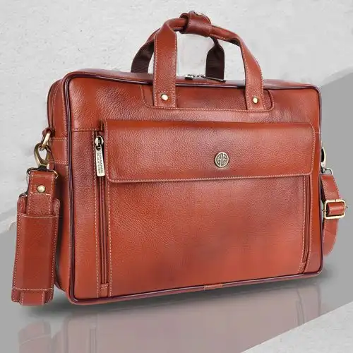 Fancy Mens Expandable Leather Laptop Bag
