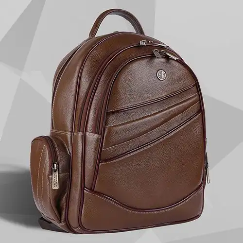 Fancy Leather Laptop Backpack