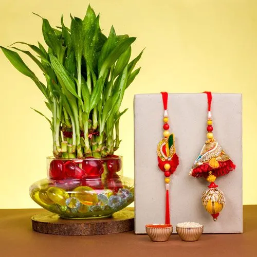 Stunning Zardosi Rakhi Set with Lucky Bamboo Pot