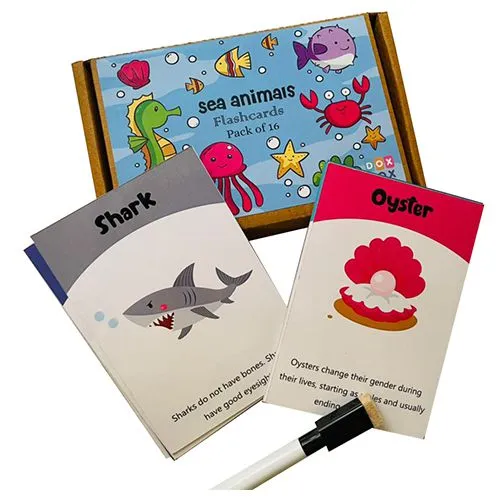 Marine Life Learning Cards