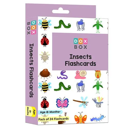 24 Insects  N  Small Animals Flashcards