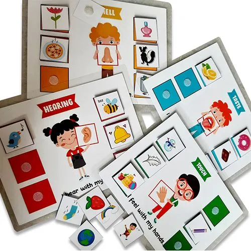 Educational Sense Organ Sorting Mats